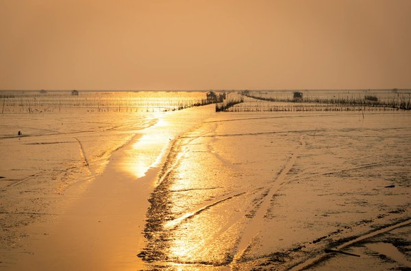 Descubre el Paraà­so en Cada Vacacià³n