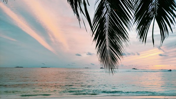 Ofertas Especiales de Turismo que No Puedes Dejar